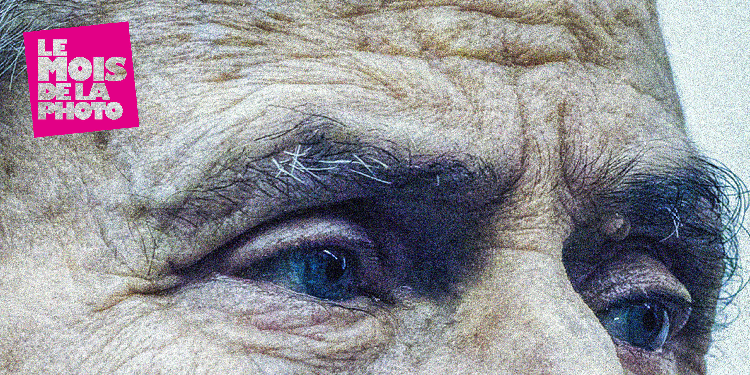 LE MOIS DE LA PHOTO 2026